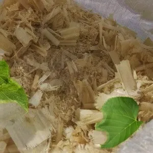 Лиственные опилки оптом в Волгограде от завода-производителя Лигнум Ресурс