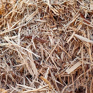 Щепа для арболита оптом в Волгограде и других различных марок заказать от 16 тонн